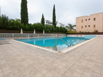 15161655293