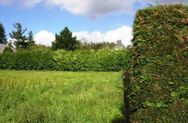 Image No.3-Terre à vendre à Langoëlan