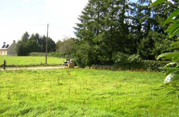 Image No.4-Terre à vendre à Langoëlan