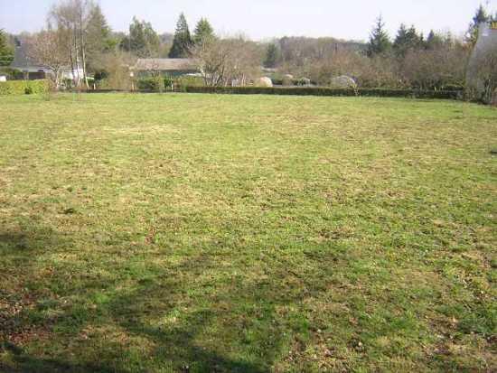 Image No.3-Terre à vendre à Locmalo