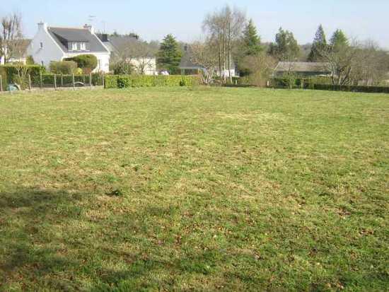 Image No.8-Terre à vendre à Locmalo