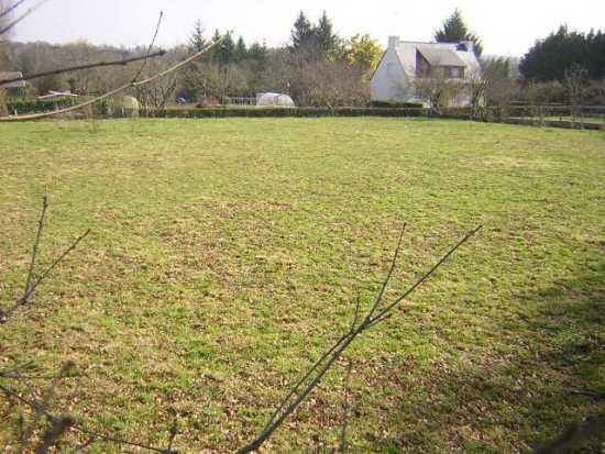 Image No.4-Terre à vendre à Locmalo