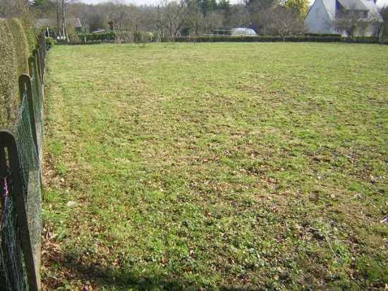 Image No.6-Terre à vendre à Locmalo