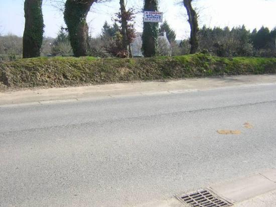 Image No.10-Terre à vendre à Locmalo