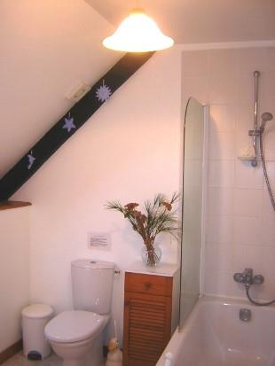 Image No.29-Maison de 9 chambres à vendre à Langoëlan