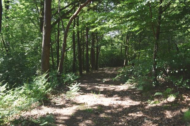 Image No.28-5 Bed House for sale