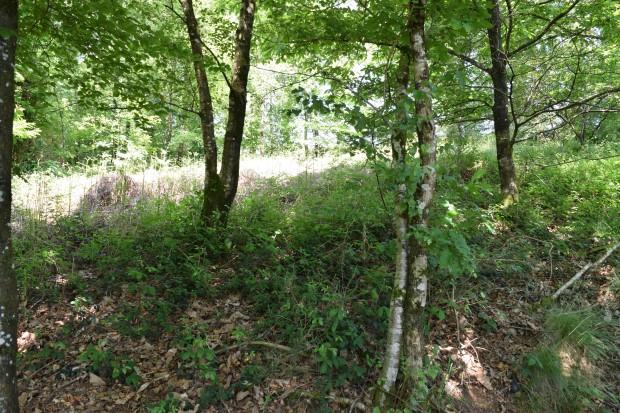 Image No.29-5 Bed House for sale