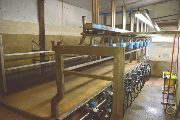 Image No.14-5 Bed Farmhouse for sale