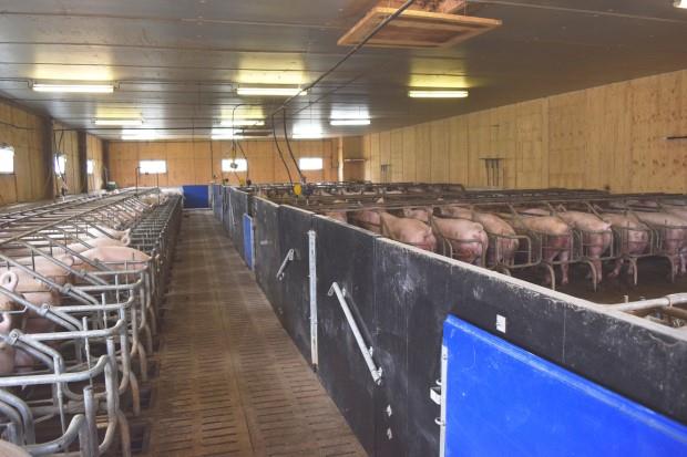 Image No.17-5 Bed Farmhouse for sale