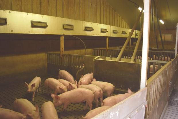 Image No.20-5 Bed Farmhouse for sale