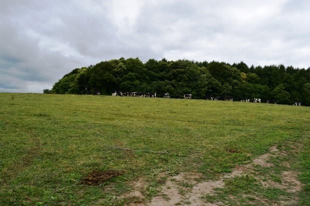 Image No.25-5 Bed Farmhouse for sale