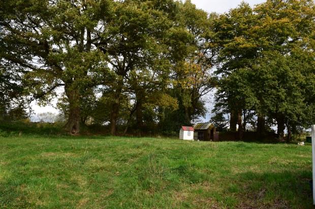 Image No.16-4 Bed House for sale