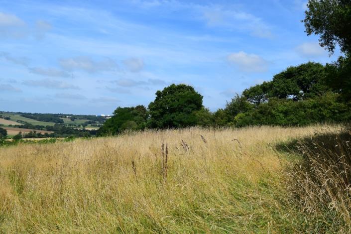 Image No.3-2 Bed House for sale