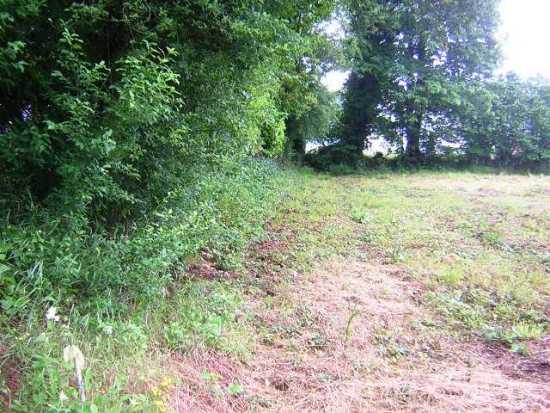 Image No.2-Terrain à vendre à Kergrist