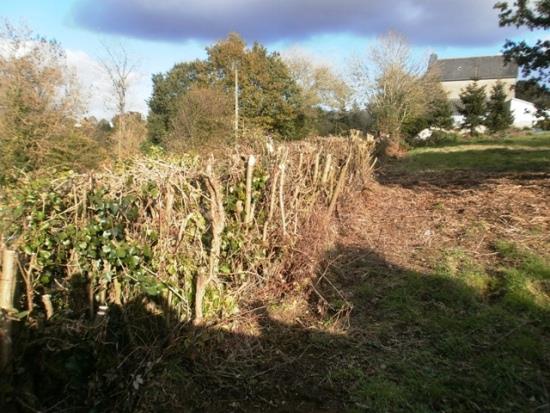 Image No.4-Terrain à vendre à Saint-Hervé