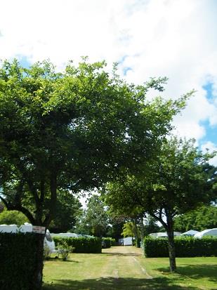 Image No.12-Commercial à vendre à Bannalec