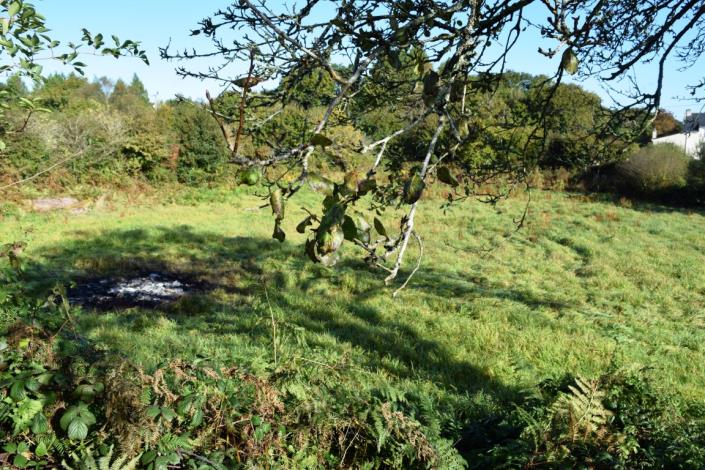 Image No.19-3 Bed House for sale