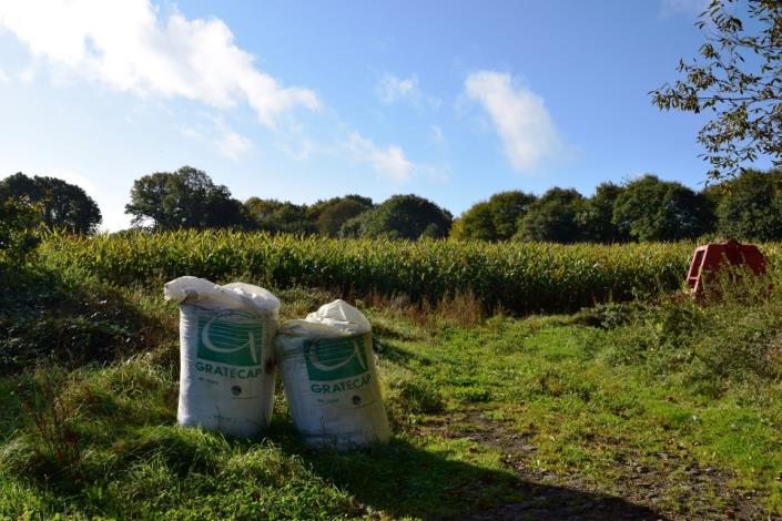 Image No.20-3 Bed House for sale