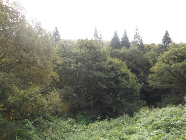 Image No.7-Maison de 2 chambres à vendre à Saint-Servais