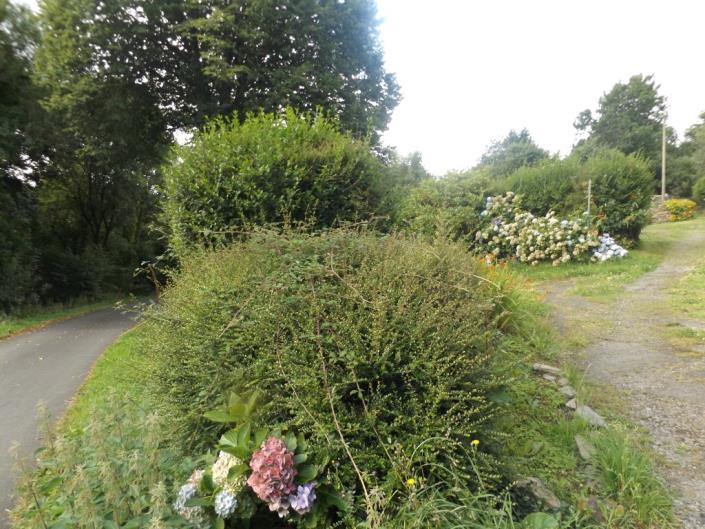 Image No.6-Maison de 2 chambres à vendre à Saint-Servais