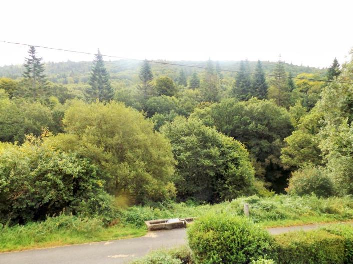 Image No.9-Maison de 2 chambres à vendre à Saint-Servais