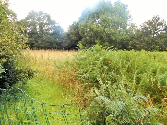 Image No.10-Maison de 2 chambres à vendre à Saint-Servais