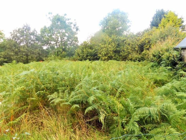 Image No.11-Maison de 2 chambres à vendre à Saint-Servais