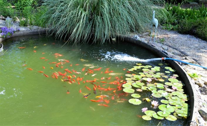 Image No.23-4 Bed House for sale