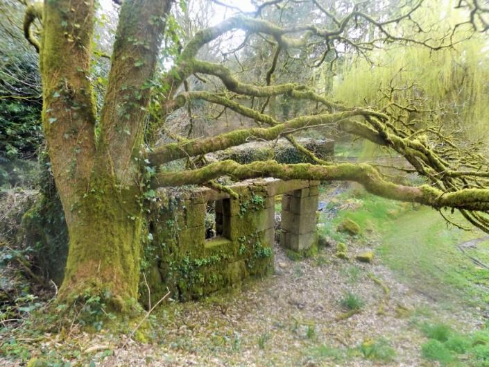 Image No.6-Maison de 3 chambres à vendre à Saint-Nicodème
