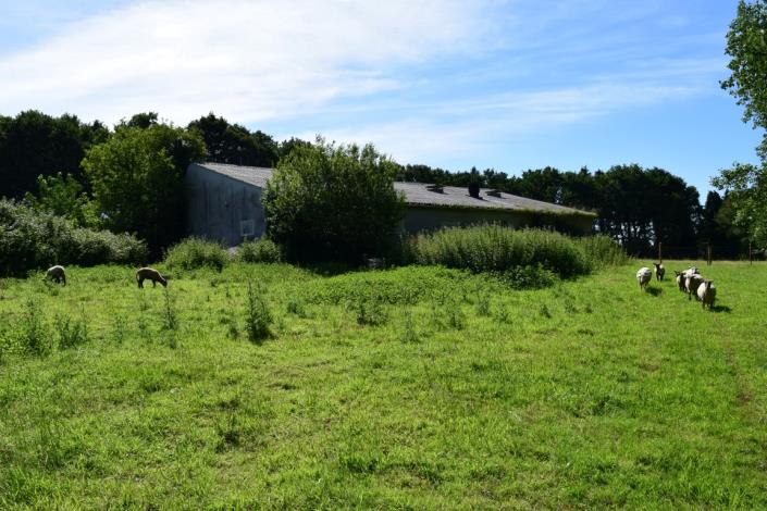 Image No.26-Maison de 5 chambres à vendre à Collorec