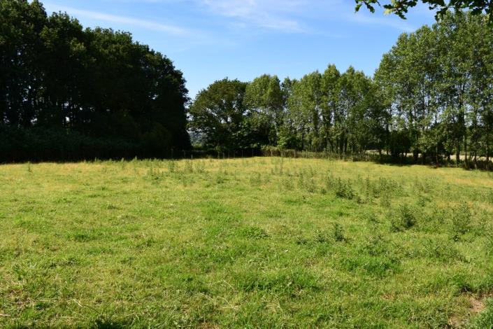 Image No.27-Maison de 5 chambres à vendre à Collorec