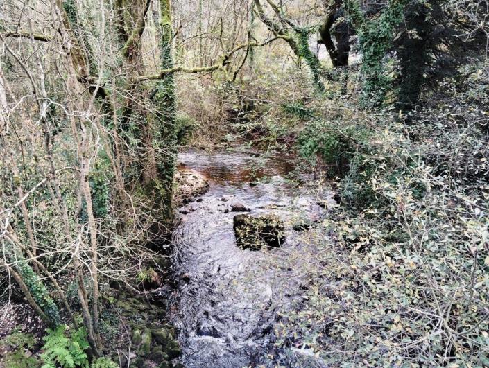 Image No.3-Commercial à vendre à Priziac