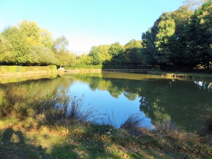 Image No.5-4 Bed House for sale