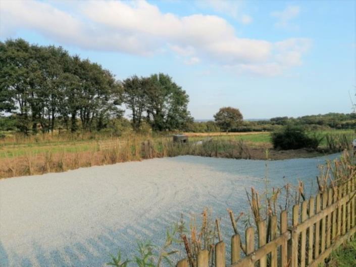 Image No.24-Maison de 2 chambres à vendre à Plounevez-Quintin