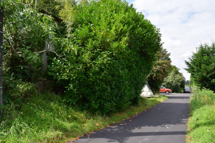 Image No.2-Terre à vendre à Carhaix-Plouguer