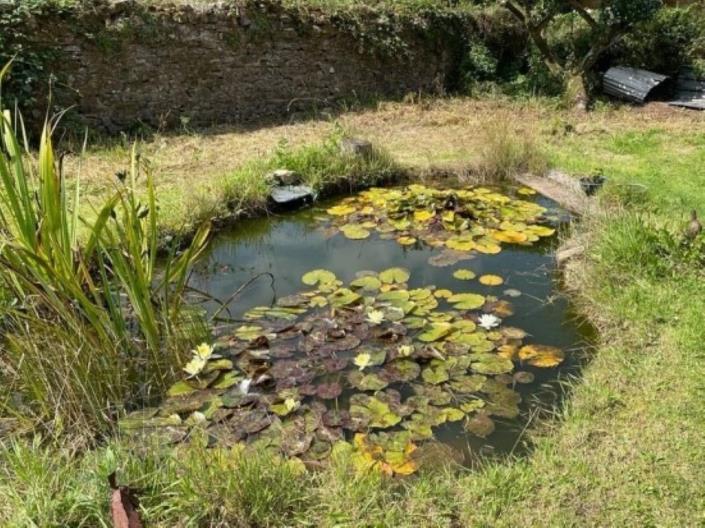 Image No.34-2 Bed House for sale