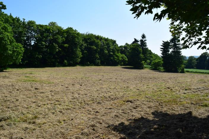 Image No.17-4 Bed House for sale