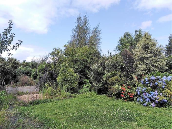 Image No.29-Maison de 4 chambres à vendre à Pont-Melvez