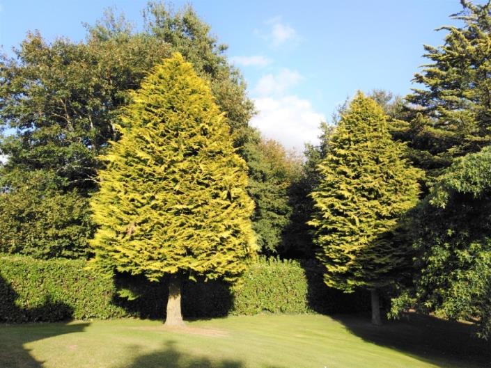 Image No.30-Maison de 4 chambres à vendre à Botsorhel