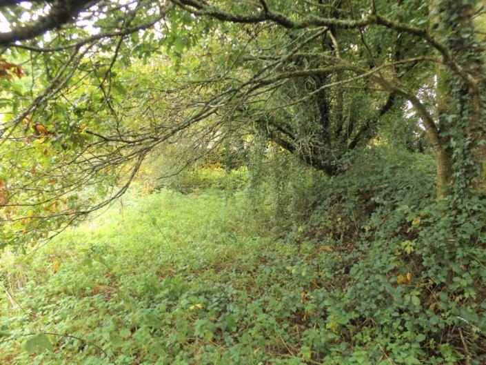 Image No.18-Maison à vendre à Maël-Pestivien