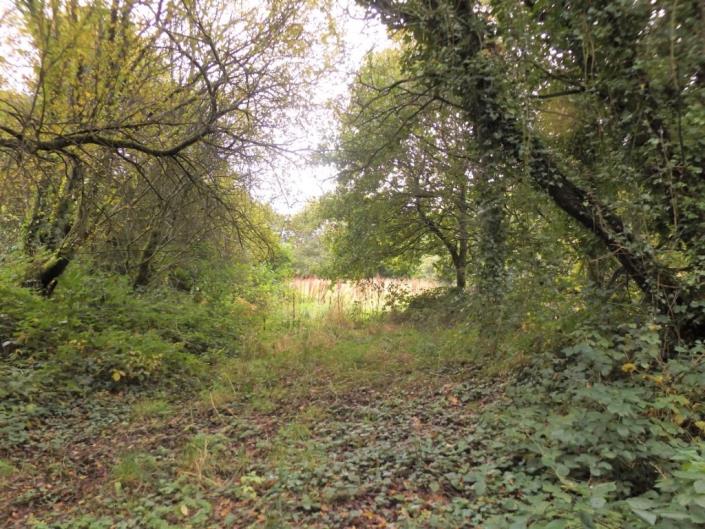 Image No.20-Maison à vendre à Maël-Pestivien