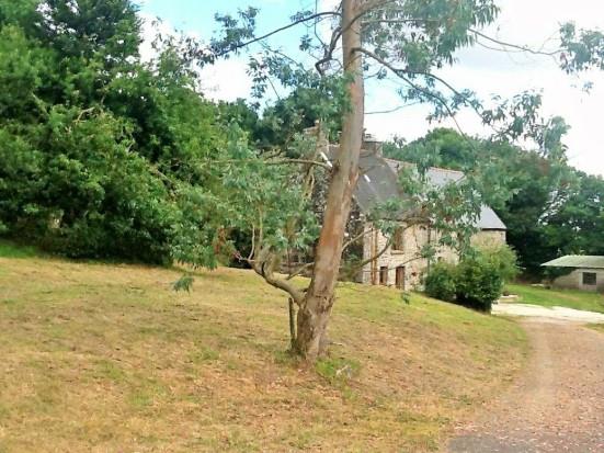 Image No.21-Maison de 3 chambres à vendre à Peumerit-Quintin