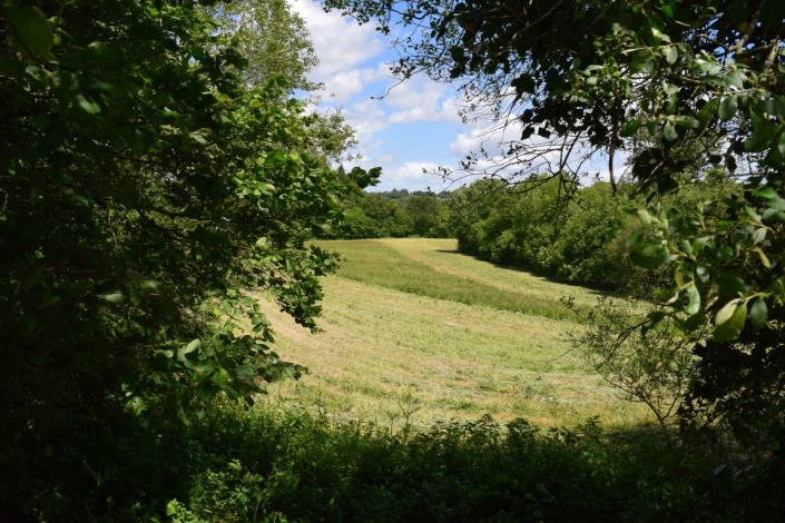 Image No.28-Maison de 5 chambres à vendre à Plouray