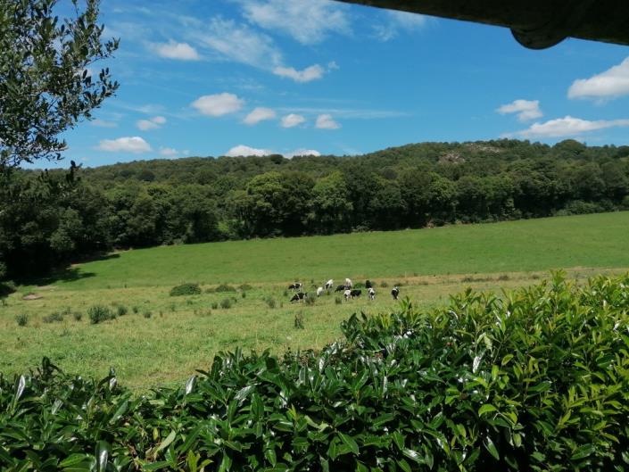 Image No.11-Maison de 4 chambres à vendre à Locarn