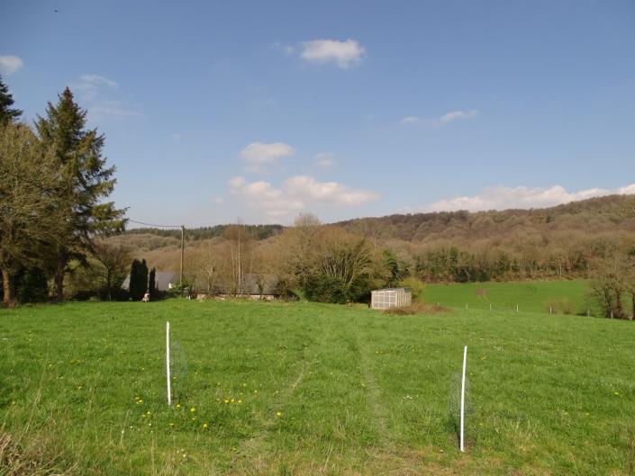 Image No.29-Maison de 4 chambres à vendre à Locarn