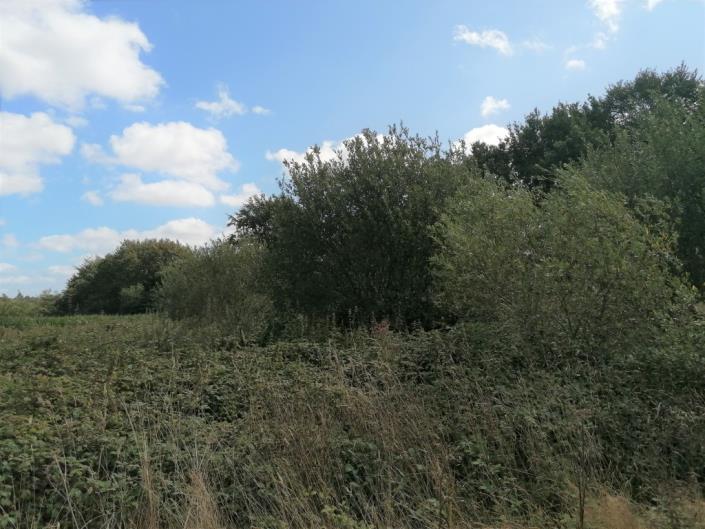 Image No.25-Maison de 3 chambres à vendre à Plourin-lès-Morlaix