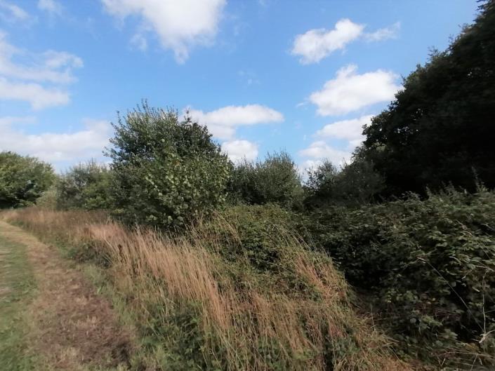 Image No.26-Maison de 3 chambres à vendre à Plourin-lès-Morlaix