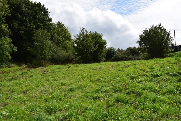 Image No.4-Terre à vendre à Saint-Mayeux