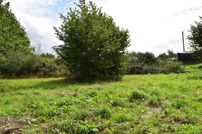 Image No.5-Terre à vendre à Saint-Mayeux