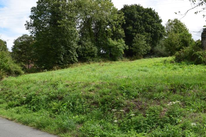 Image No.3-Terre à vendre à Saint-Mayeux